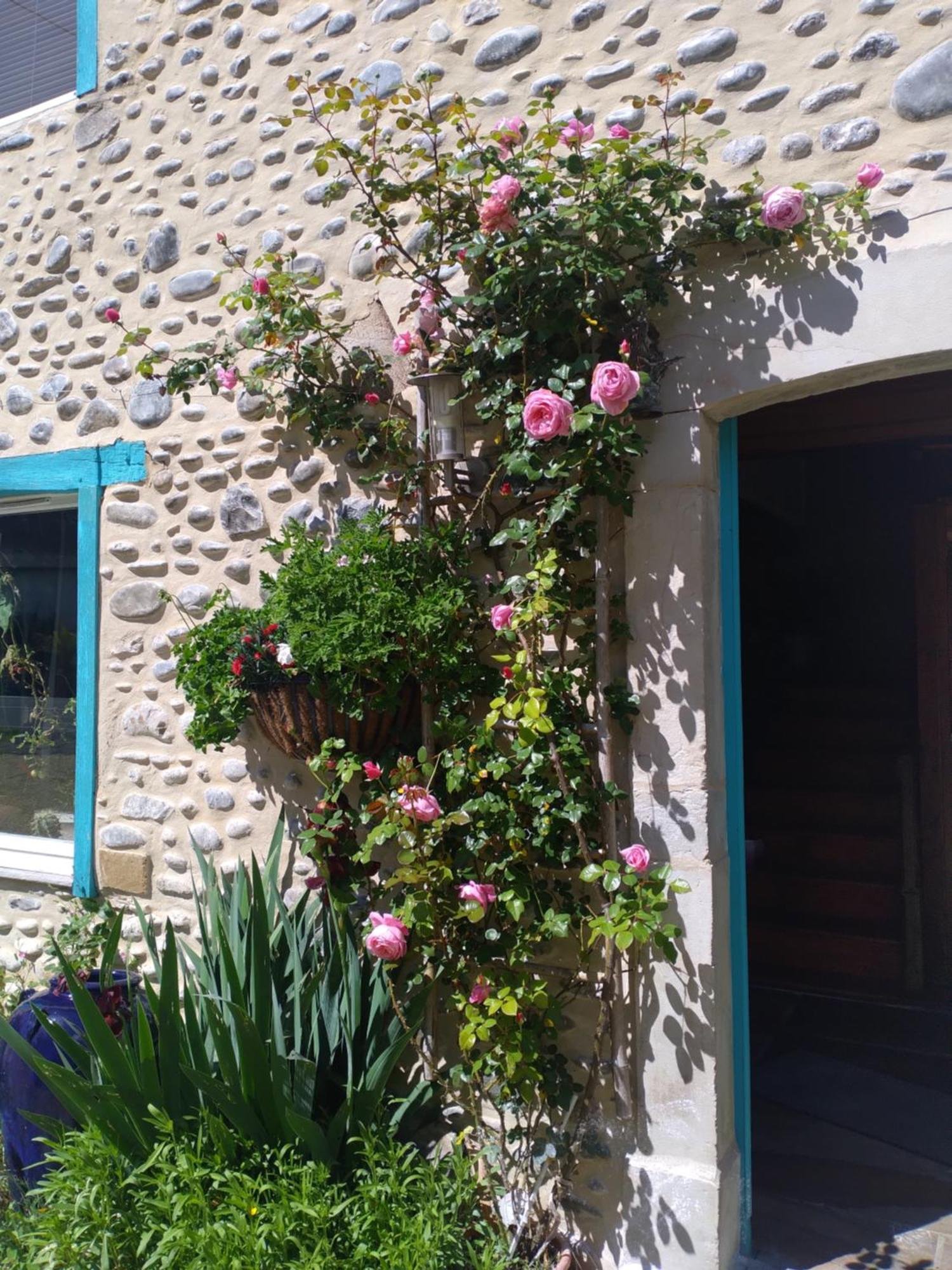 Maison Mignaquy Charritte-de-Bas Kültér fotó